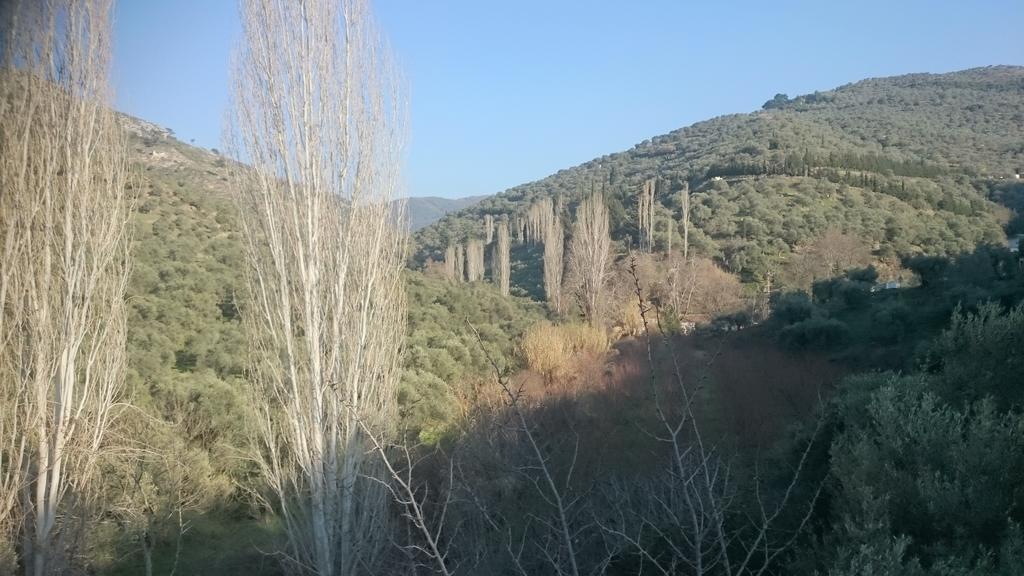 סלצ'וק Sirince Klaseas Hotel&Restaurant מראה חיצוני תמונה